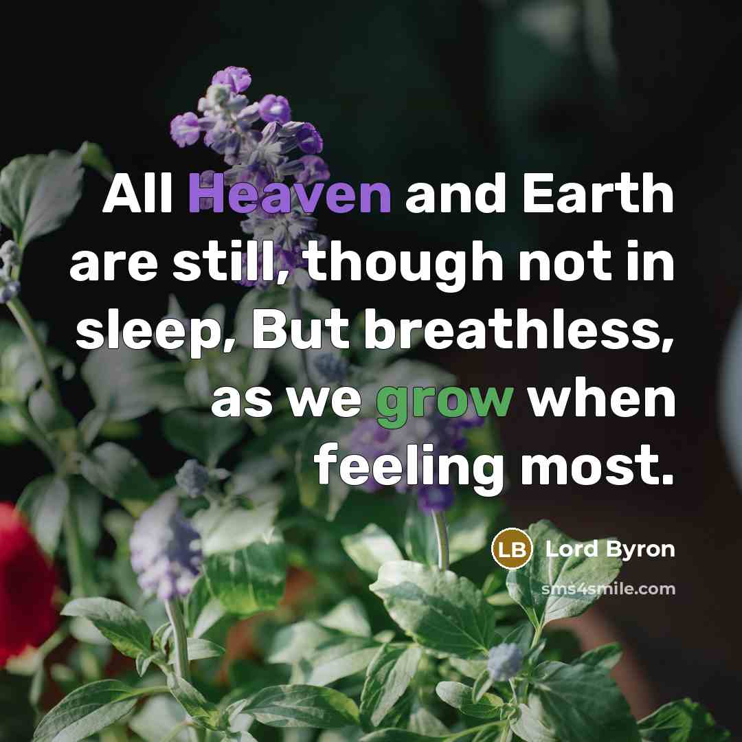“All Heaven and Earth are still, though not in sleep, But breathless, as we grow when feeling most.” quote by Lord Byron