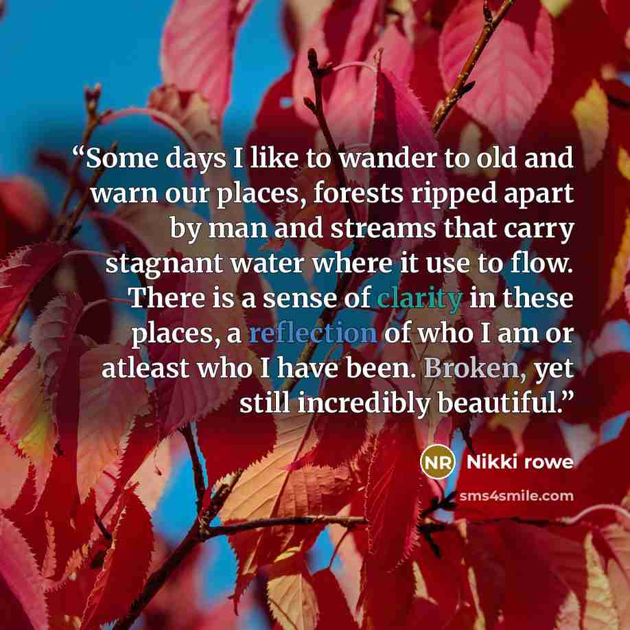 “Some days I like to wander to old and warn our places, forests ripped apart by man and streams that carry stagnant water where it use to flow. There is a sense of clarity in these places, a reflection of who I am or atleast who I have been. Broken, yet still incredibly beautiful.” quote by Nikki Rowe