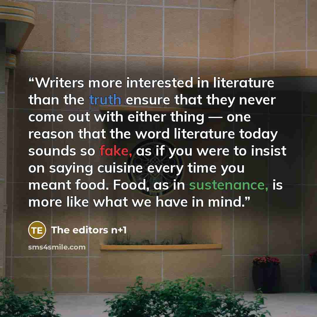 “Writers more interested in literature than the truth ensure that they never come out with either thing — one reason that the word literature today sounds so fake, as if you were to insist on saying cuisine every time you meant food. Food, as in sustenance, is more like what we have in mind.” quote by The editors n+1