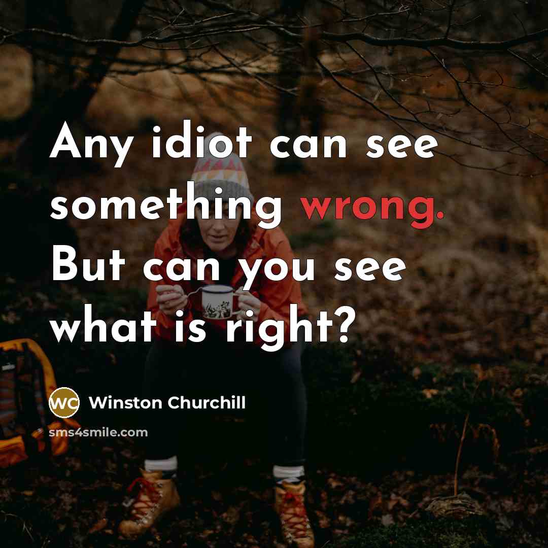“Any idiot can see something wrong. But can you see what is right?” quote by Winston Churchill