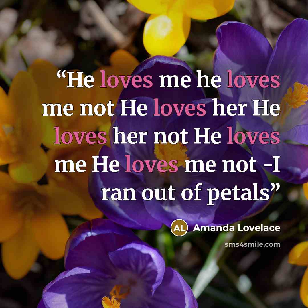 “He loves me he loves me not He loves her He loves her not He loves me He loves me not -I ran out of petals” quote by Amanda Lovelace