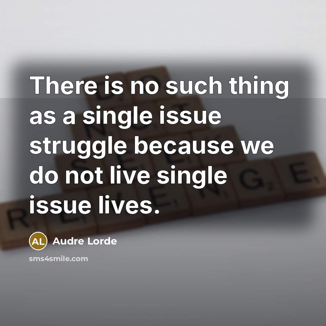“There is no such thing as a single issue struggle because we do not live single issue lives.” quote by Audre Lorde