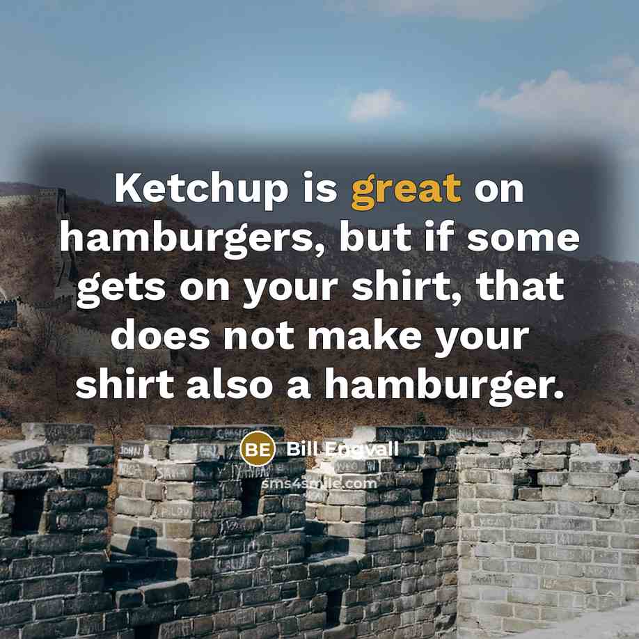 “Ketchup is great on hamburgers, but if some gets on your shirt, that does not make your shirt also a hamburger.” quote by Bill Engvall