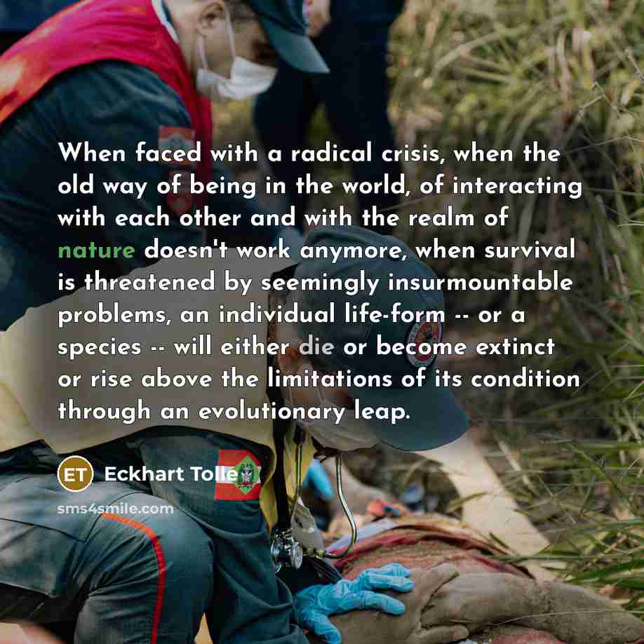 “When faced with a radical crisis, when the old way of being in the world, of interacting with each other and with the realm of nature doesn't work anymore, when survival is threatened by seemingly insurmountable problems, an individual life-form -- or a species -- will either die or become extinct…” quote by Eckhart Tolle