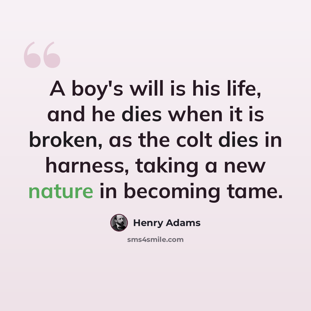 “A boy's will is his life, and he dies when it is broken, as the colt dies in harness, taking a new nature in becoming tame.” quote by Henry Adams