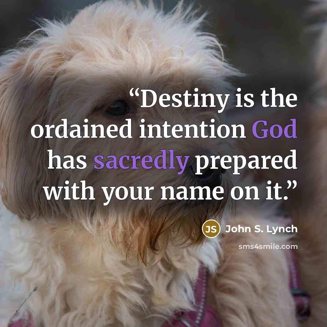 “Destiny is the ordained intention God has sacredly prepared with your name on it.” quote by John S. Lynch