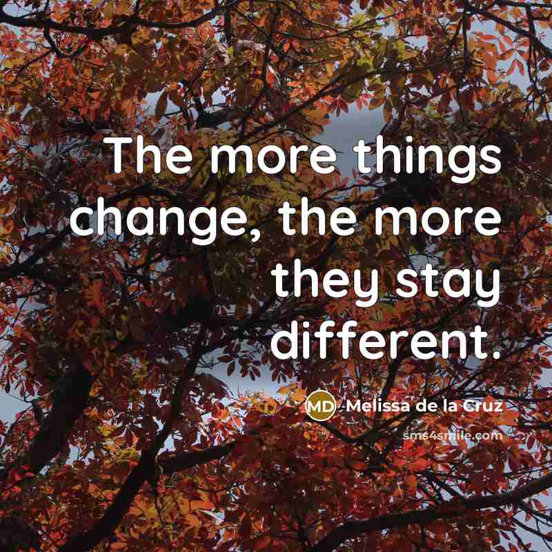 “The more things change, the more they stay different.” quote by Melissa de la Cruz