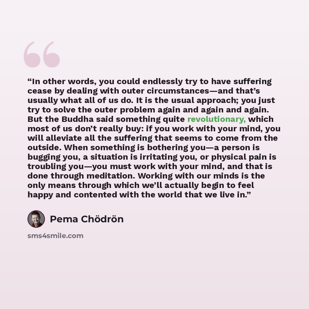“In other words, you could endlessly try to have suffering cease by dealing with outer circumstances—and that’s usually what all of us do. It is the usual approach; you just try to solve the outer problem again and again and again. But the Buddha said something quite revolutionary, which most of us…” quote by Pema Chödrön