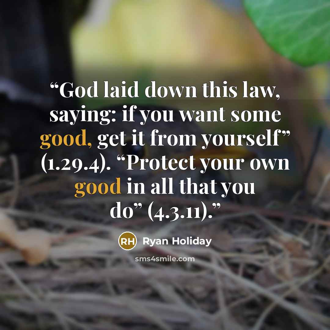 “God laid down this law, saying: if you want some good, get it from yourself” (1.29.4). “Protect your own good in all that you do” (4.3.11).” quote by Ryan Holiday