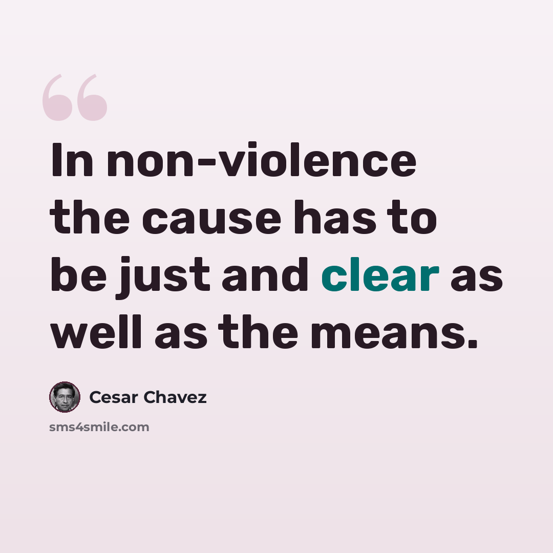 “In non-violence the cause has to be just and clear as well as the means.” quote by Cesar Chavez