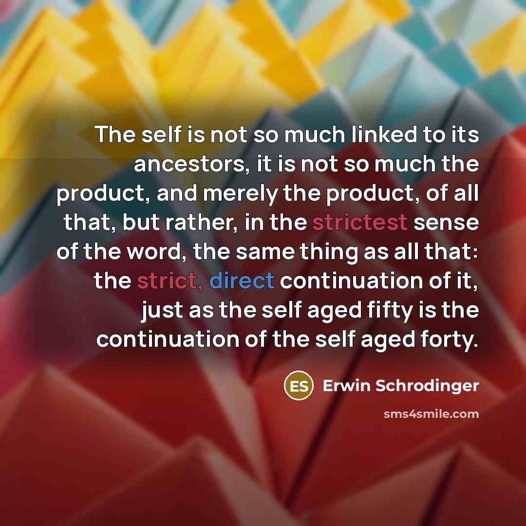 “The self is not so much linked to its ancestors, it is not so much the product, and merely the product, of all that, but rather, in the strictest sense of the word, the same thing as all that: the strict, direct continuation of it, just as the self aged fifty is the continuation of the self aged…” quote by Erwin Schrodinger