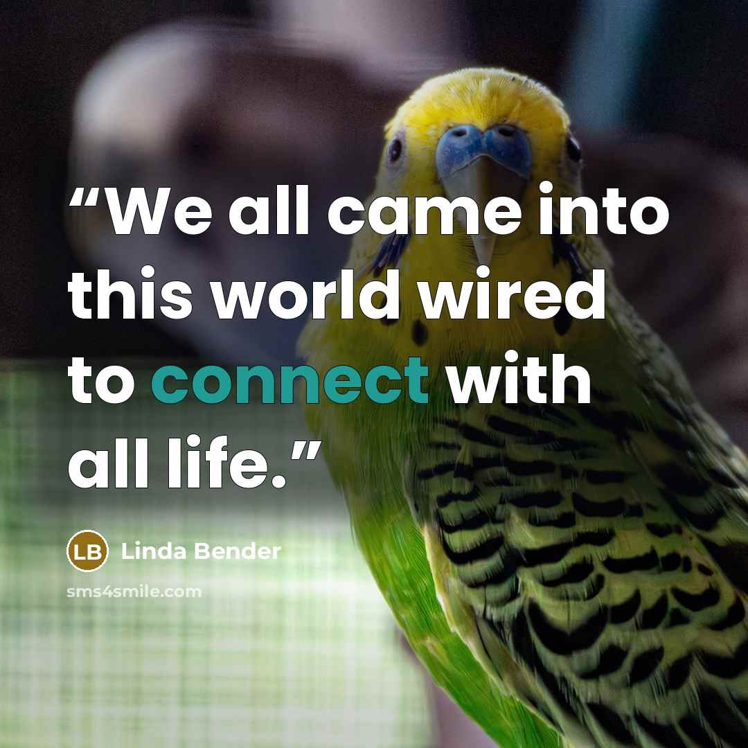 “We all came into this world wired to connect with all life.” quote by Linda Bender