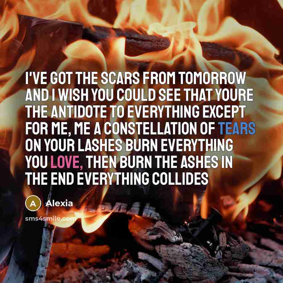“I've got the scars from tomorrow and I wish you could see That youre the antidote to everything except for me, me A constellation of tears on your lashes Burn everything you love, then burn the ashes In the end everything collides” quote by Alexia