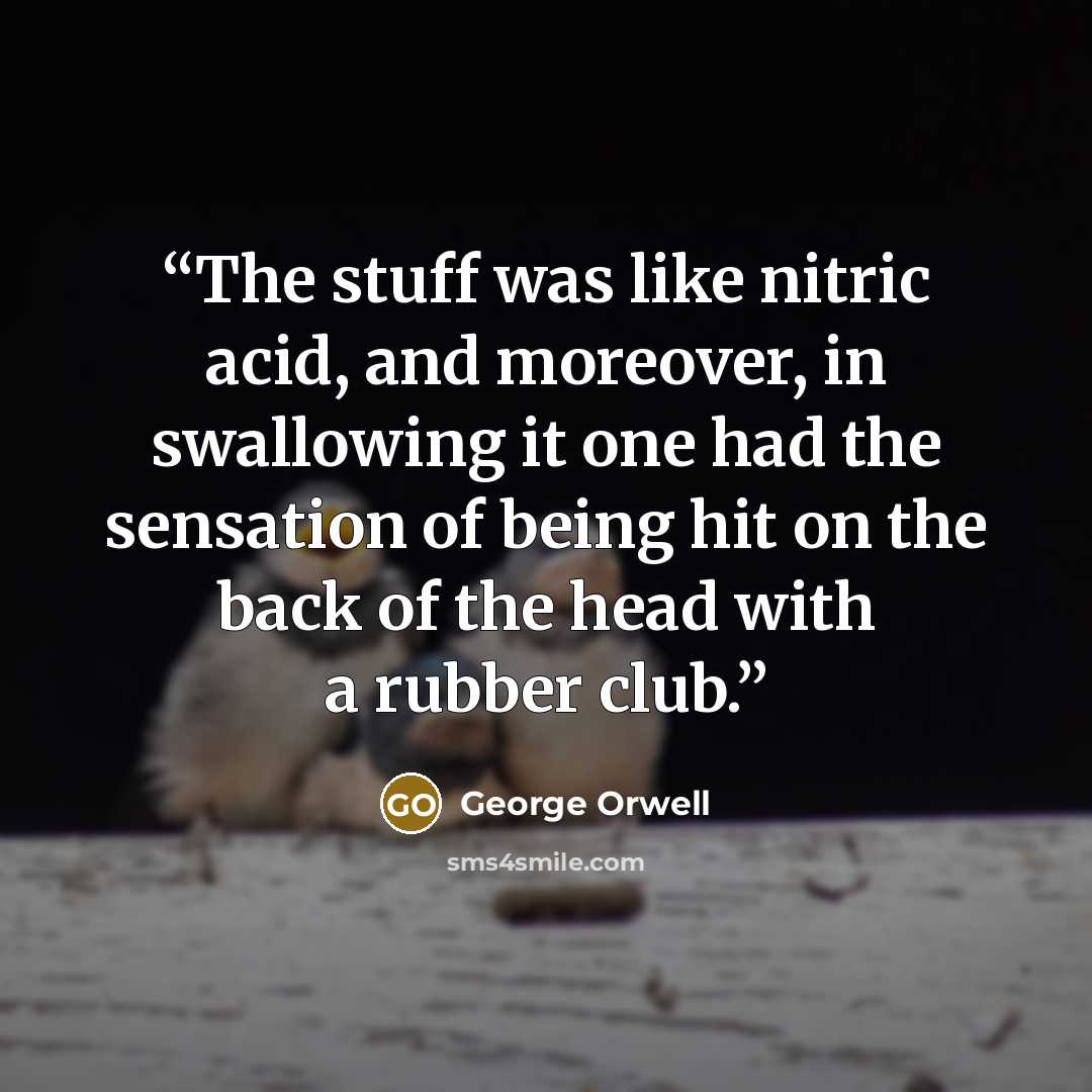 “The stuff was like nitric acid, and moreover, in swallowing it one had the sensation of being hit on the back of the head with a rubber club.” quote by George Orwell