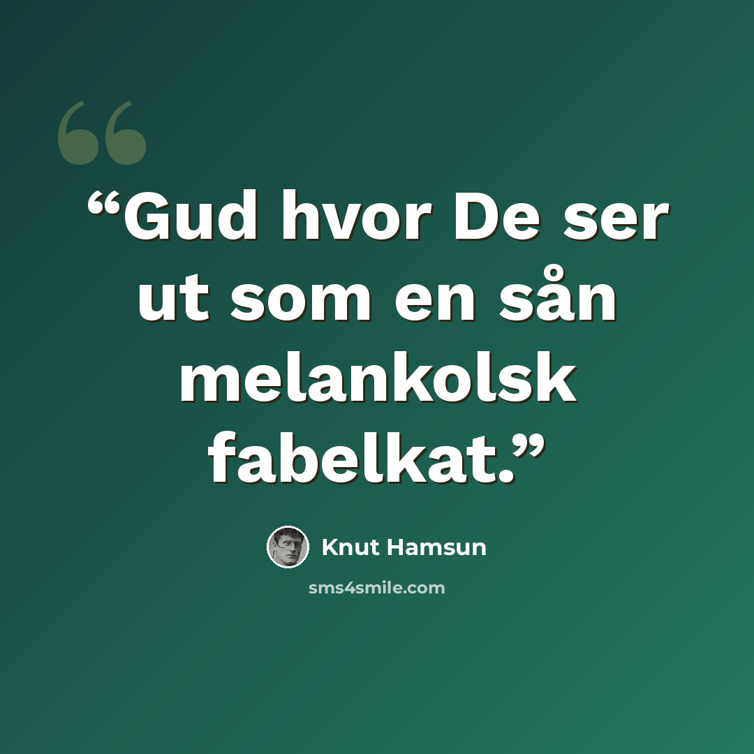 “Gud hvor De ser ut som en sån melankolsk fabelkat.” quote by Knut Hamsun