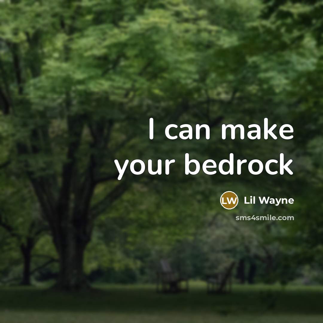 “I can make your bedrock” quote by Lil Wayne