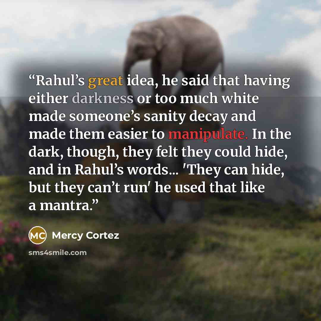 “Rahul’s great idea, he said that having either darkness or too much white made someone’s sanity decay and made them easier to manipulate. In the dark, though, they felt they could hide, and in Rahul’s words... 'They can hide, but they can’t run' he used that like a mantra.” quote by Mercy Cortez