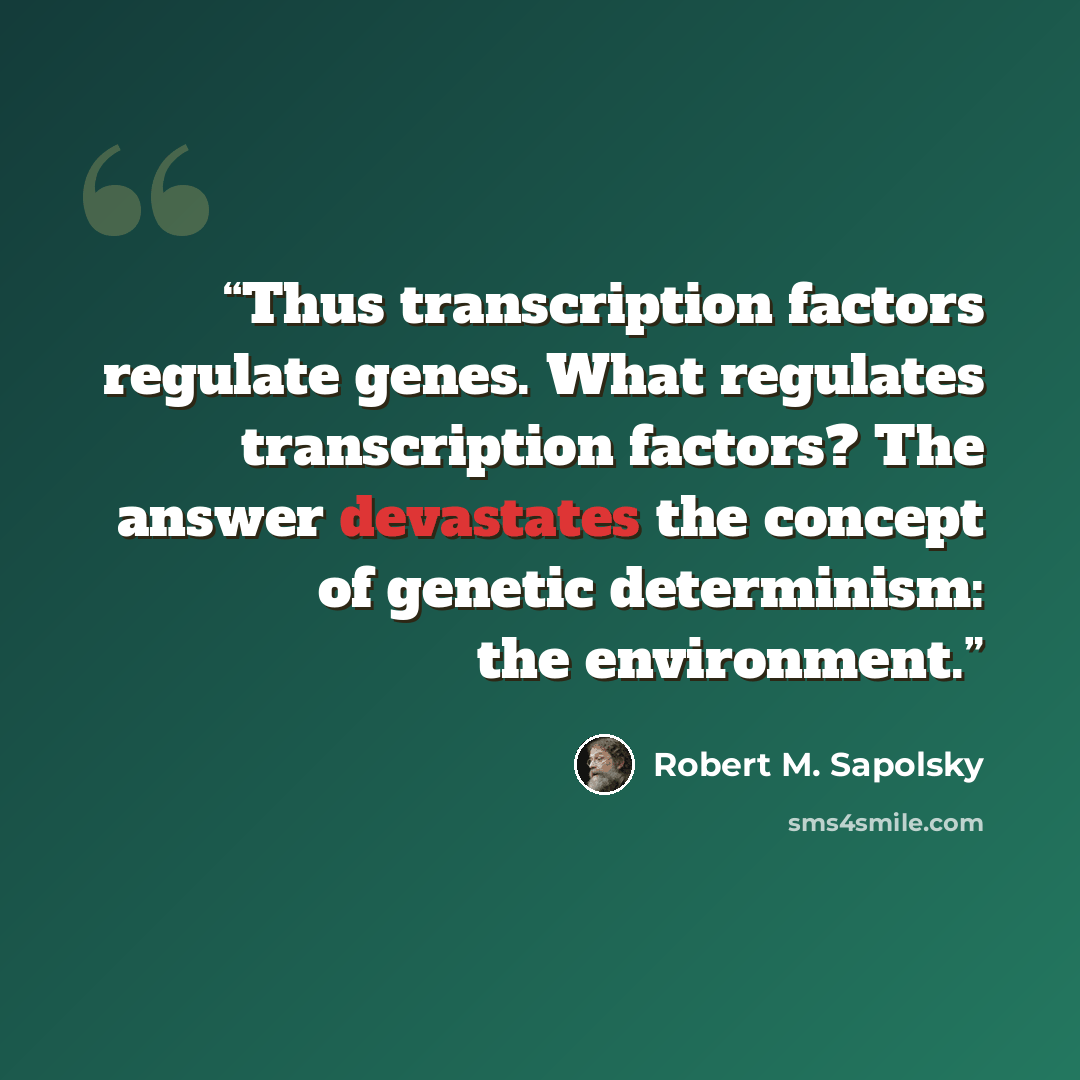 “Thus transcription factors regulate genes. What regulates transcription factors? The answer devastates the concept of genetic determinism: the environment.” quote by Robert M. Sapolsky