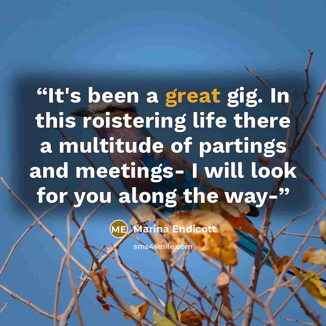 “It's been a great gig. In this roistering life there a multitude of partings and meetings- I will look for you along the way-” quote by Marina Endicott