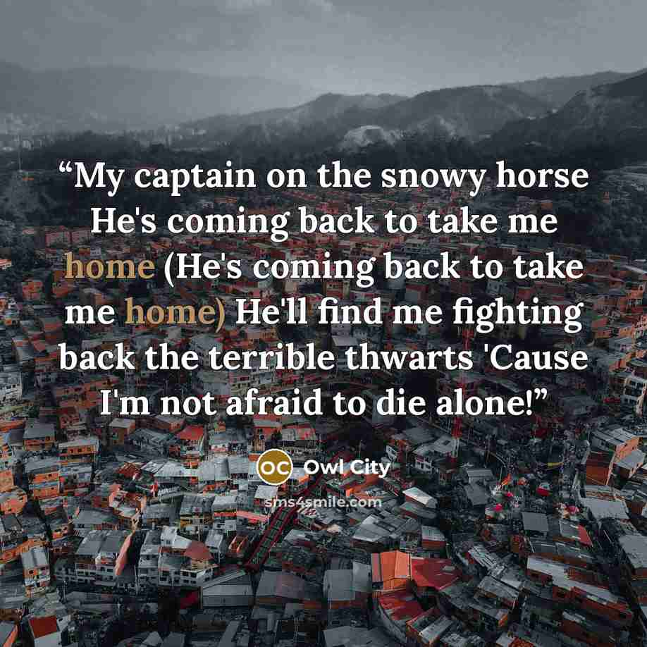 “My captain on the snowy horse He's coming back to take me home (He's coming back to take me home) He'll find me fighting back the terrible thwarts 'Cause I'm not afraid to die alone!” quote by Owl City