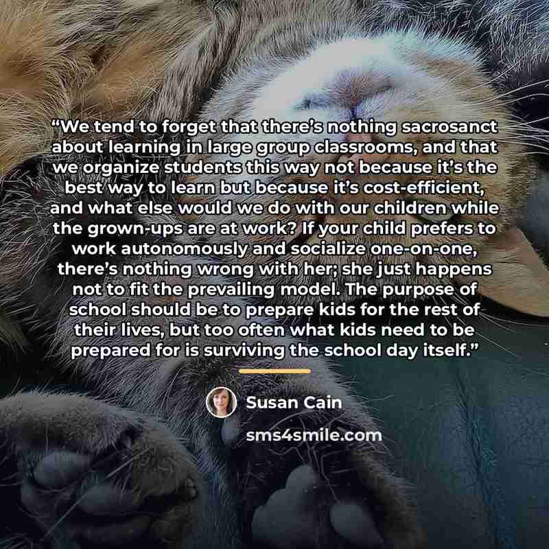“We tend to forget that there’s nothing sacrosanct about learning in large group classrooms, and that we organize students this way not because it’s the best way to learn but because it’s cost-efficient, and what else would we do with our children while the grown-ups are at work? If your child…” quote by Susan Cain