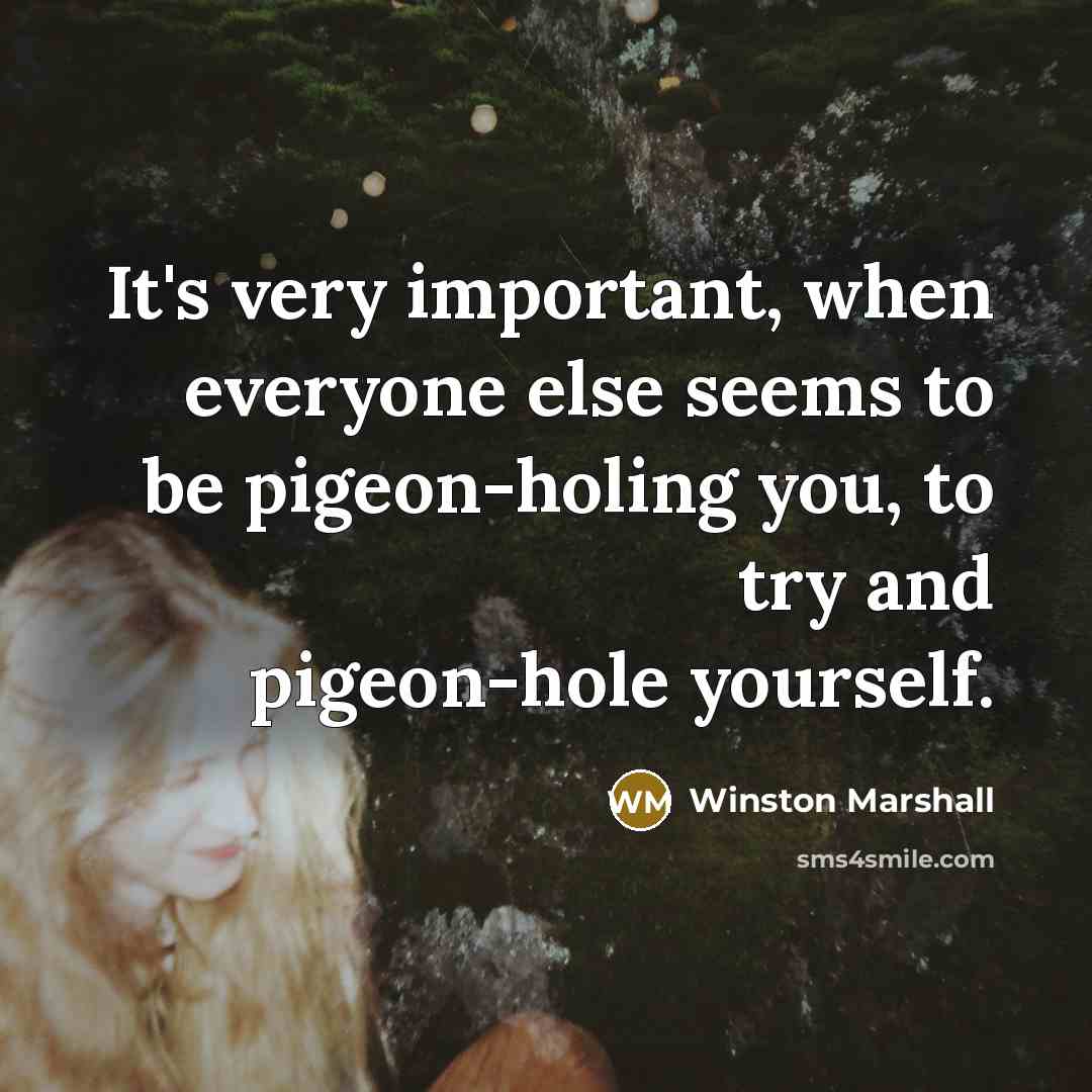 “It's very important, when everyone else seems to be pigeon-holing you, to try and pigeon-hole yourself.” quote by Winston Marshall