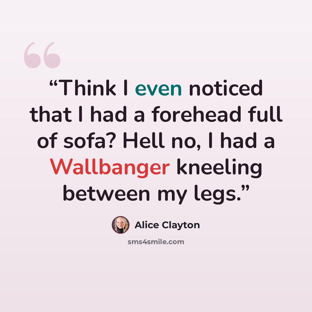 “Think I even noticed that I had a forehead full of sofa? Hell no, I had a Wallbanger kneeling between my legs.” quote by Alice Clayton