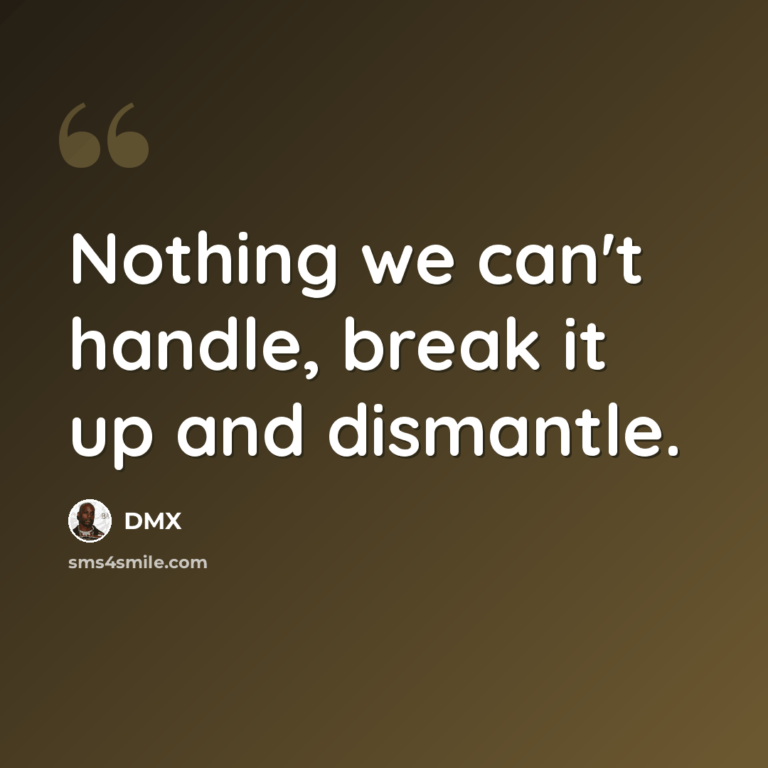 “Nothing we can't handle, break it up and dismantle.” quote by DMX