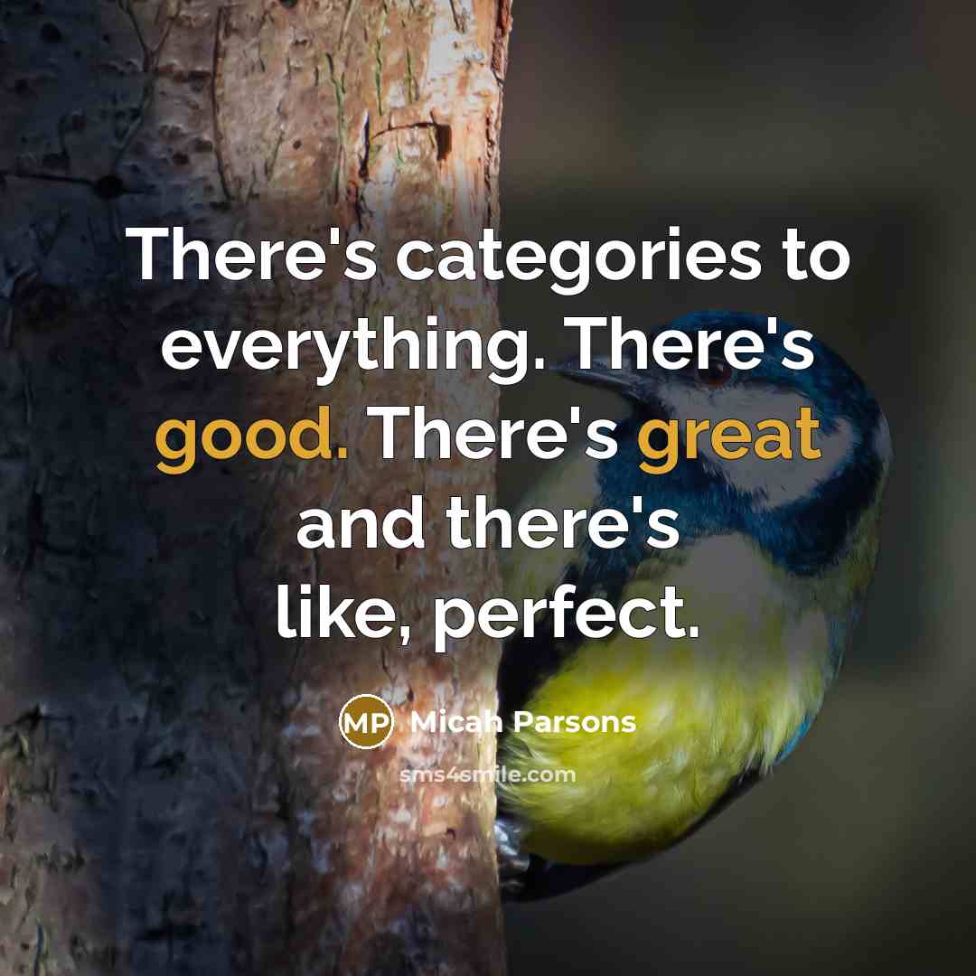 “There's categories to everything. There's good. There's great and there's like, perfect.” quote by Micah Parsons