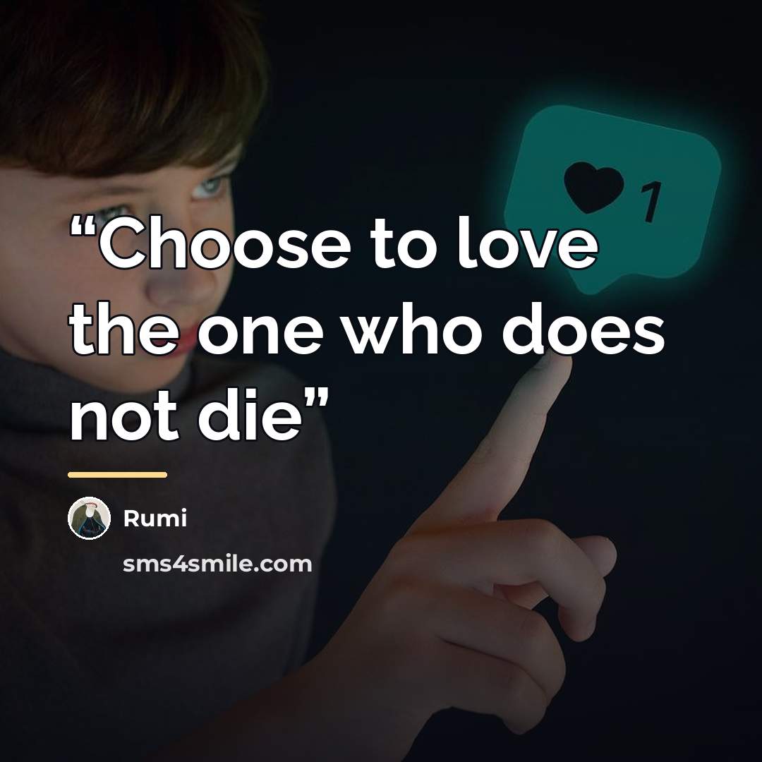 “Choose to love the one who does not die” quote by Rumi