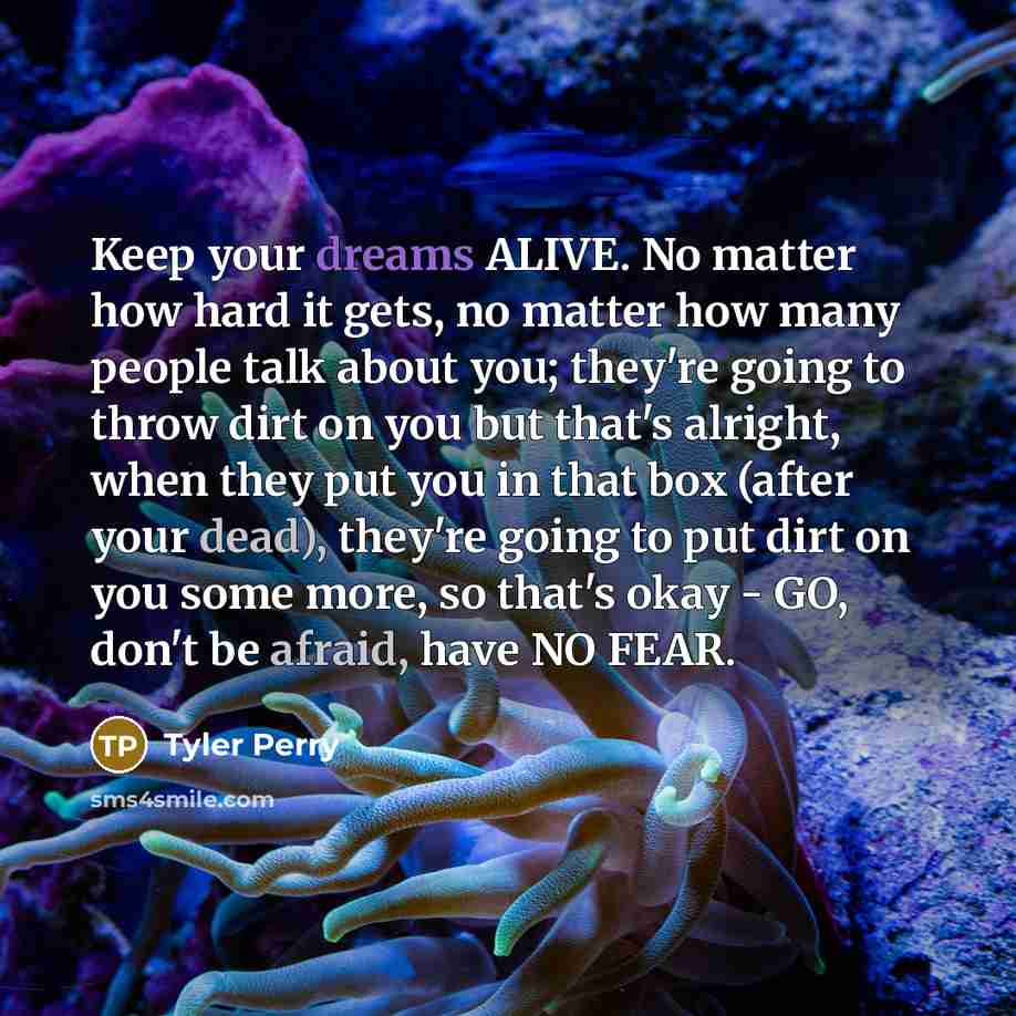 “Keep your dreams ALIVE. No matter how hard it gets, no matter how many people talk about you; they're going to throw dirt on you but that's alright, when they put you in that box (after your dead), they're going to put dirt on you some more, so that's okay - GO, don't be afraid, have NO FEAR.” quote by Tyler Perry