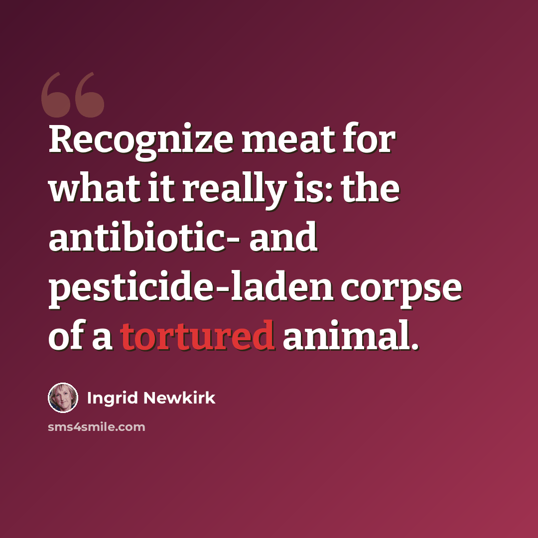 “Recognize meat for what it really is: the antibiotic- and pesticide-laden corpse of a tortured animal.” quote by Ingrid Newkirk