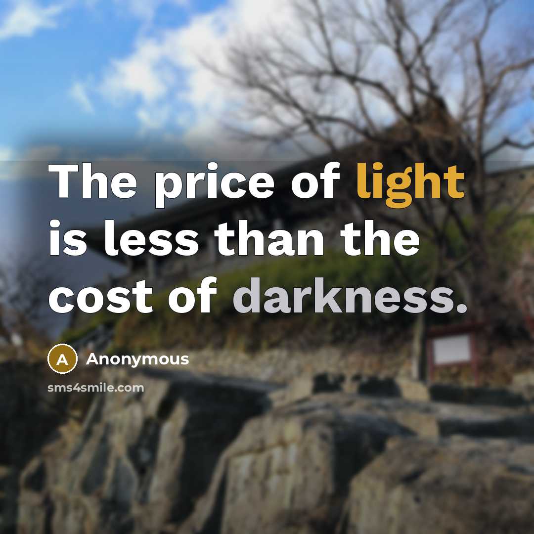 “The price of light is less than the cost of darkness.” quote by Anonymous
