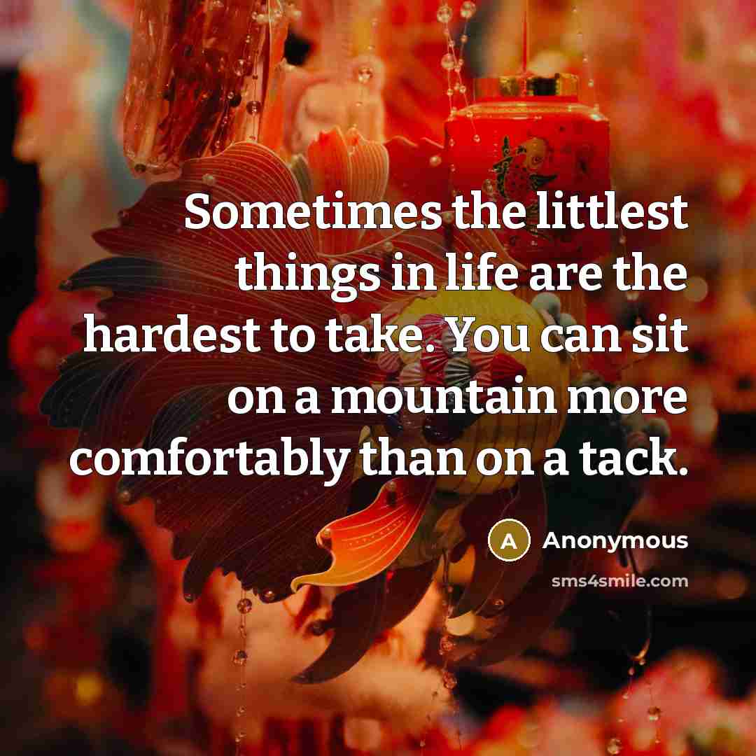 “Sometimes the littlest things in life are the hardest to take. You can sit on a mountain more comfortably than on a tack.” quote by Anonymous