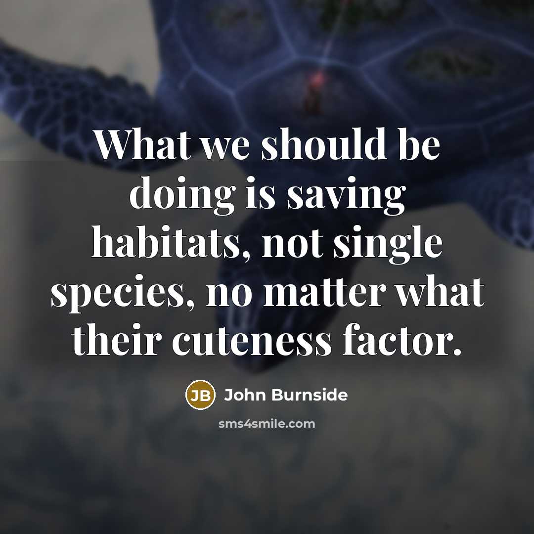 “What we should be doing is saving habitats, not single species, no matter what their cuteness factor.” quote by John Burnside