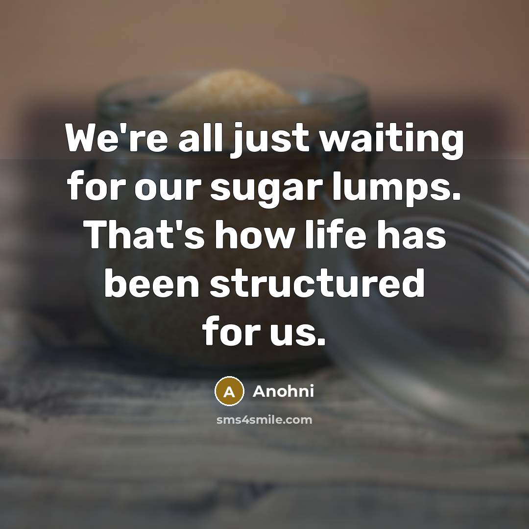 “We're all just waiting for our sugar lumps. That's how life has been structured for us.” quote by Anohni