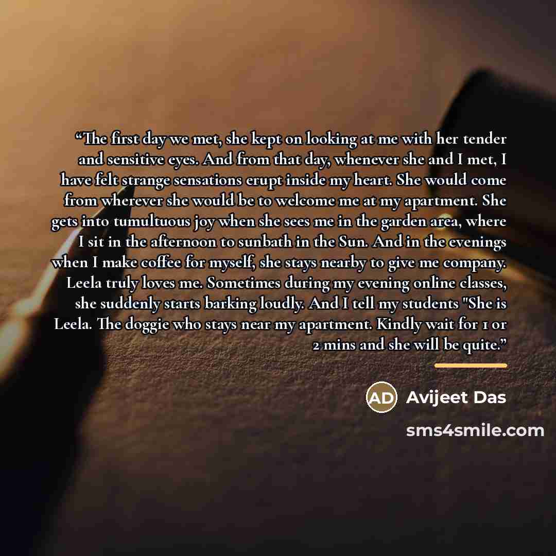 “The first day we met, she kept on looking at me with her tender and sensitive eyes. And from that day, whenever she and I met, I have felt strange sensations erupt inside my heart. She would come from wherever she would be to welcome me at my apartment. She gets into tumultuous joy when she sees…” quote by Avijeet Das