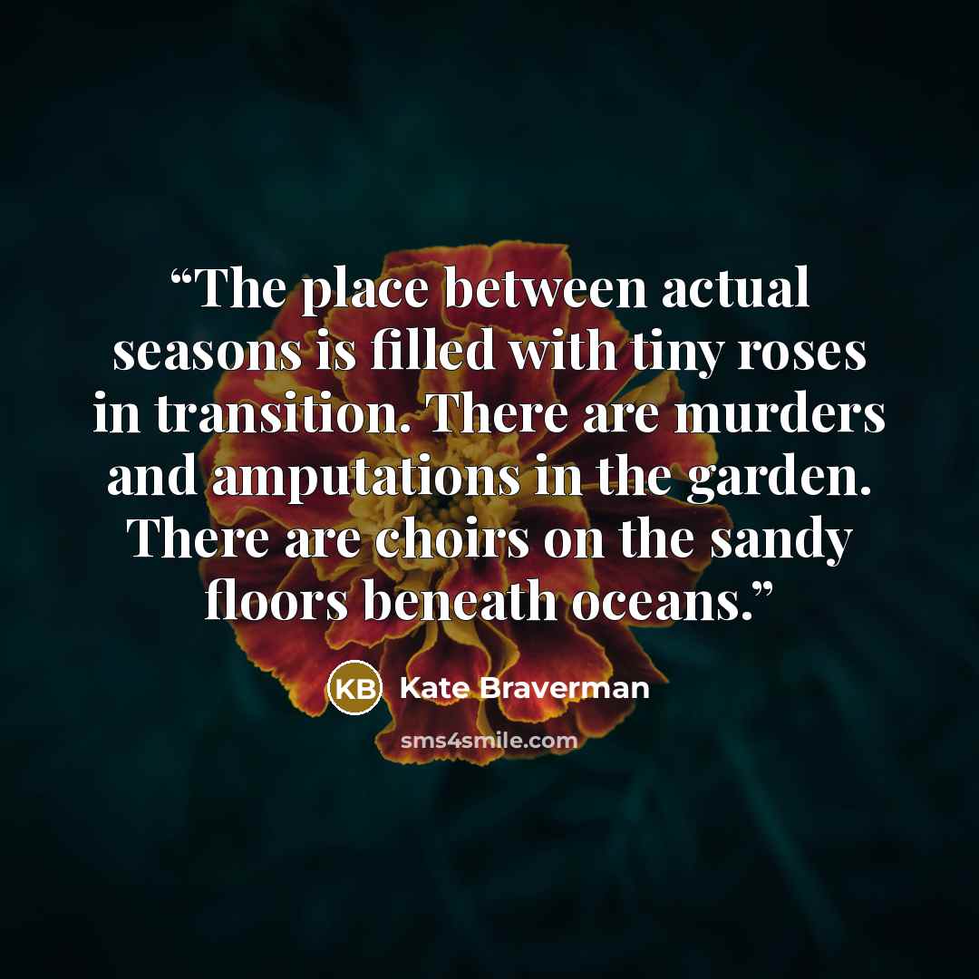 “The place between actual seasons is filled with tiny roses in transition. There are murders and amputations in the garden. There are choirs on the sandy floors beneath oceans.” quote by Kate Braverman