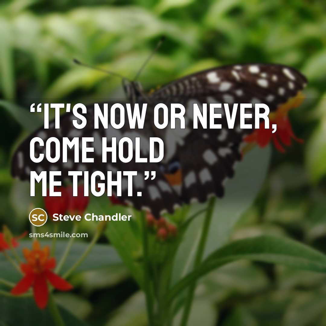 “It's now or never, come hold me tight.” quote by Steve Chandler