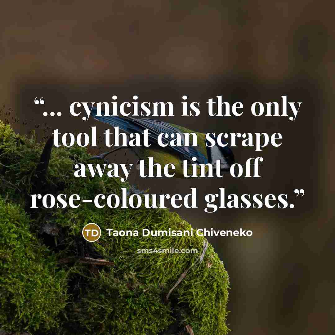 “... cynicism is the only tool that can scrape away the tint off rose-coloured glasses.” quote by Taona Dumisani Chiveneko