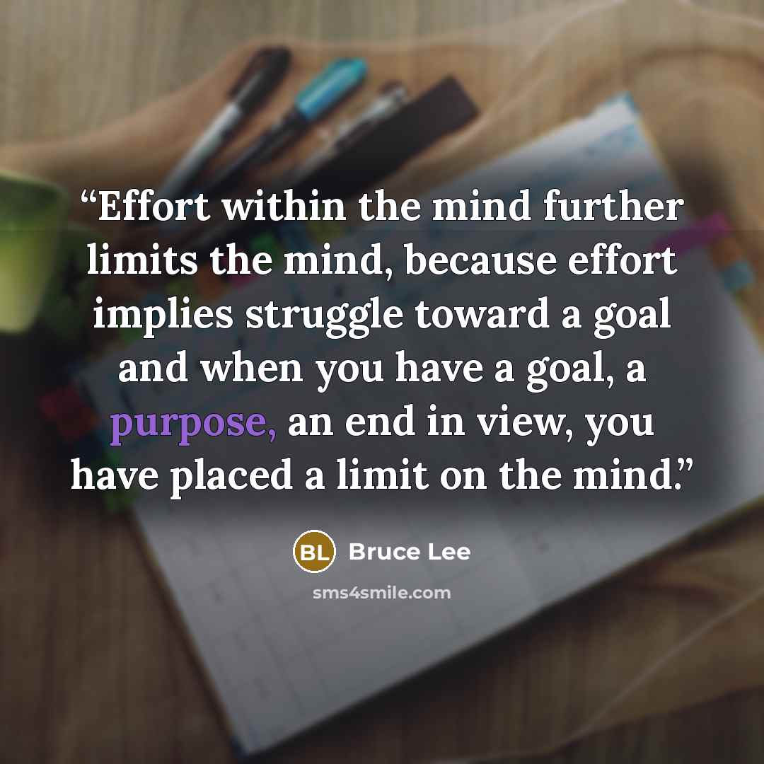 “Effort within the mind further limits the mind, because effort implies struggle toward a goal and when you have a goal, a purpose, an end in view, you have placed a limit on the mind.” quote by Bruce Lee