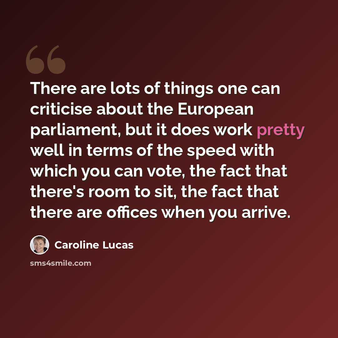 “There are lots of things one can criticise about the European parliament, but it does work pretty well in terms of the speed with which you can vote, the fact that there's room to sit, the fact that there are offices when you arrive.” quote by Caroline Lucas