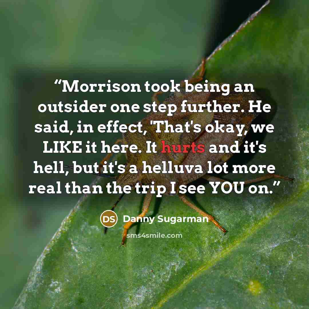 “Morrison took being an outsider one step further. He said, in effect, 'That's okay, we LIKE it here. It hurts and it's hell, but it's a helluva lot more real than the trip I see YOU on.” quote by Danny Sugarman