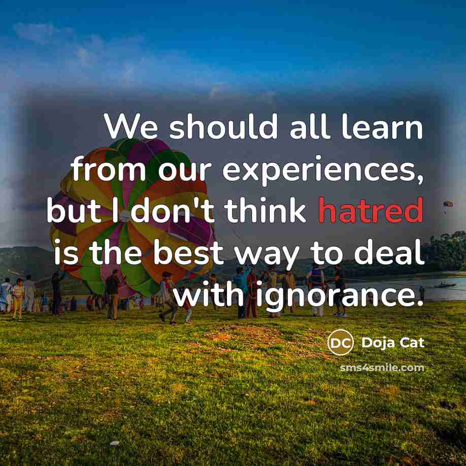 “We should all learn from our experiences, but I don't think hatred is the best way to deal with ignorance.” quote by Doja Cat