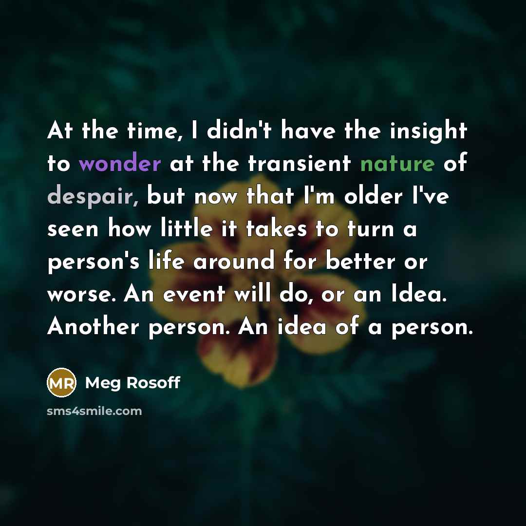 “At the time, I didn't have the insight to wonder at the transient nature of despair, but now that I'm older I've seen how little it takes to turn a person's life around for better or worse. An event will do, or an Idea. Another person. An idea of a person.” quote by Meg Rosoff