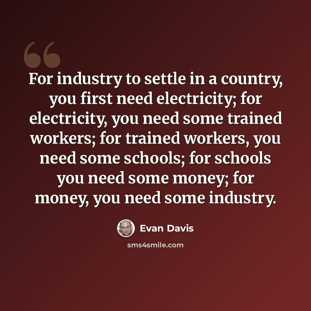“For industry to settle in a country, you first need electricity; for electricity, you need some trained workers; for trained workers, you need some schools; for schools you need some money; for money, you need some industry.” quote by Evan Davis