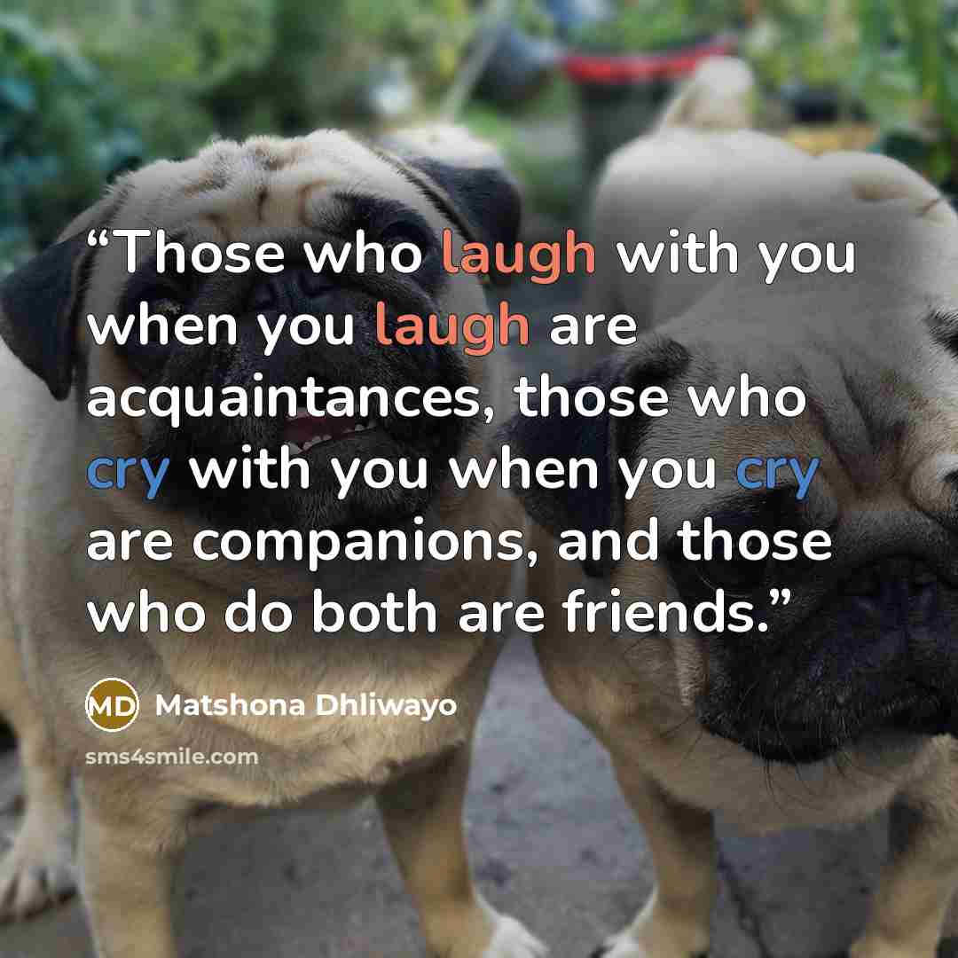 “Those who laugh with you when you laugh are acquaintances, those who cry with you when you cry are companions, and those who do both are friends.” quote by Matshona Dhliwayo