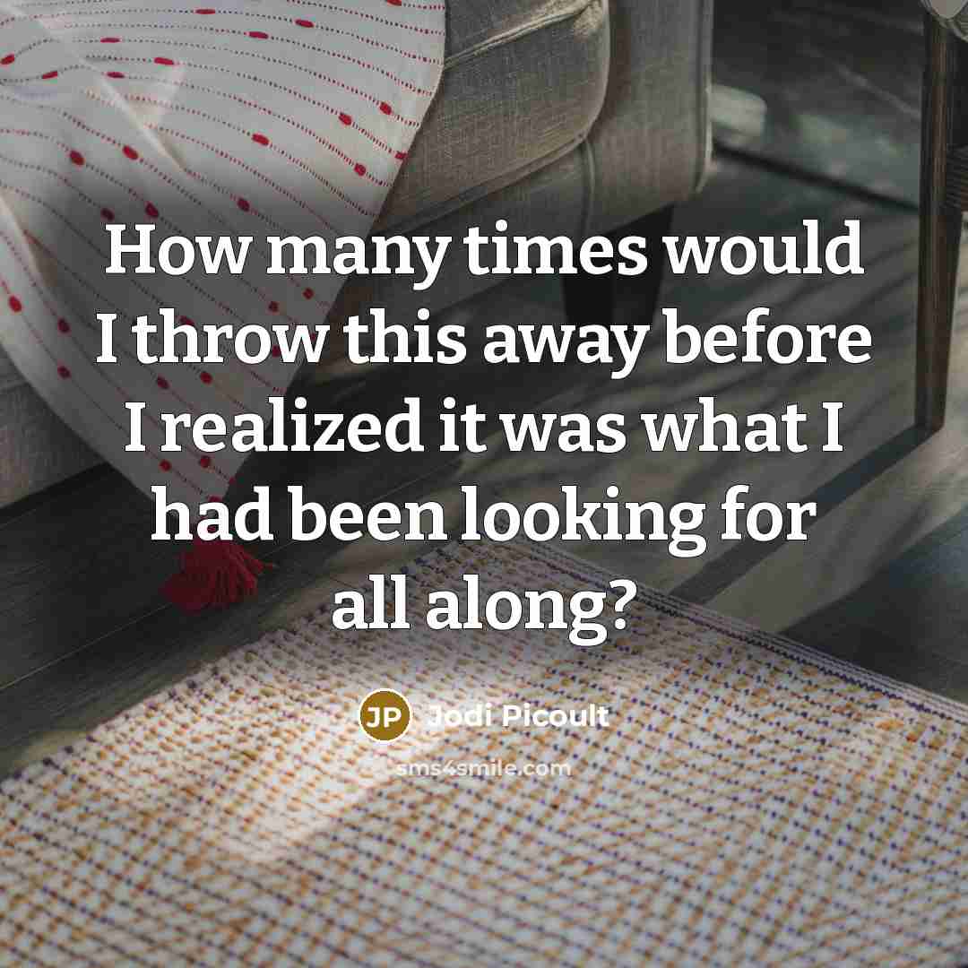 “How many times would I throw this away before I realized it was what I had been looking for all along?” quote by Jodi Picoult
