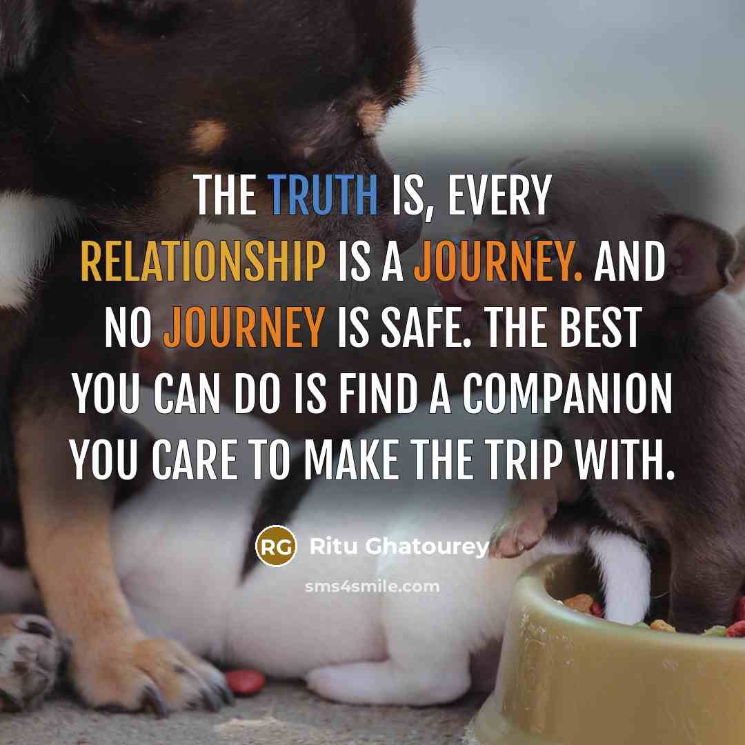 “The truth is, every relationship is a journey. And no journey is safe. The best you can do is find a companion you care to make the trip with.” quote by Ritu Ghatourey