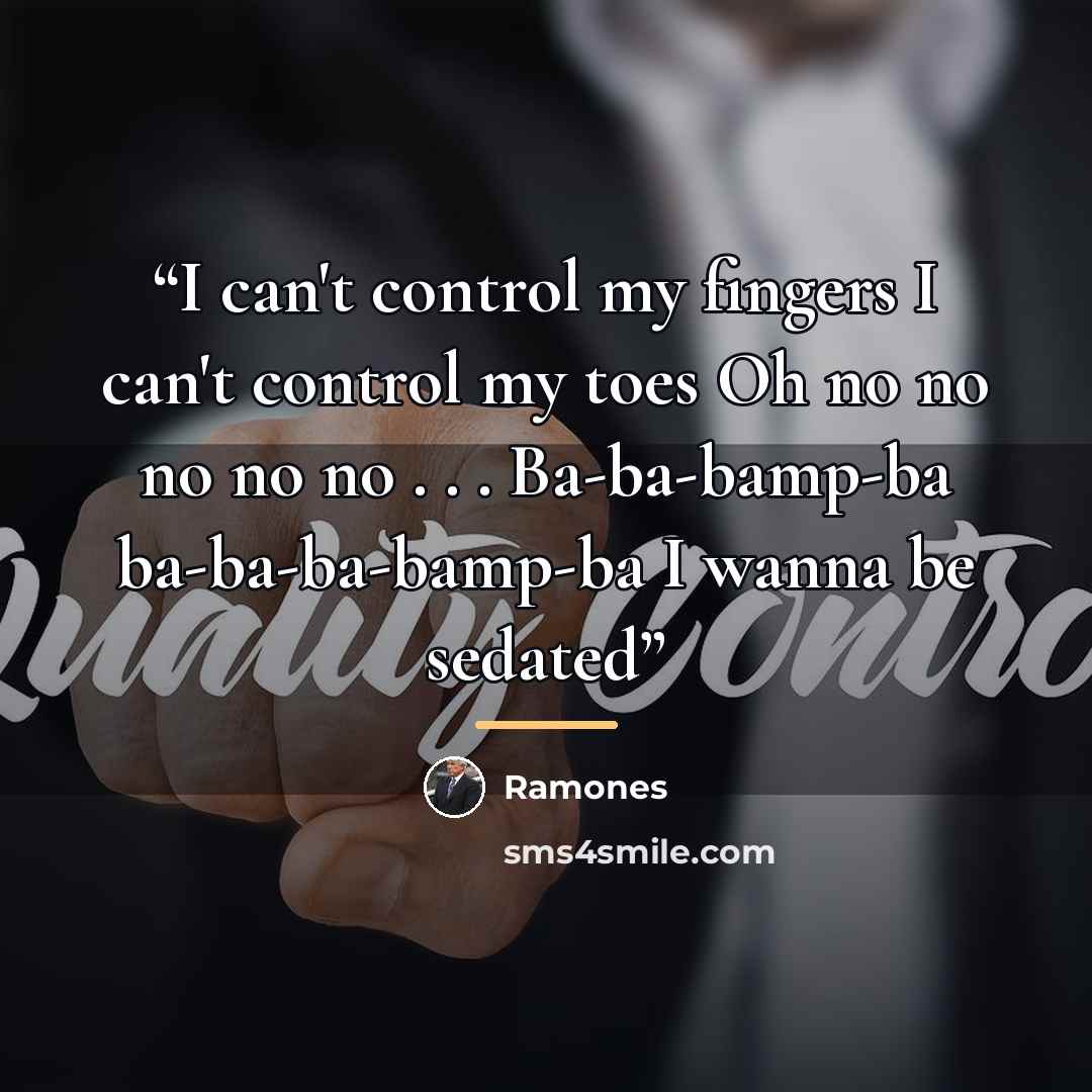 “I can't control my fingers I can't control my toes Oh no no no no no . . . Ba-ba-bamp-ba ba-ba-ba-bamp-ba I wanna be sedated” quote by Ramones